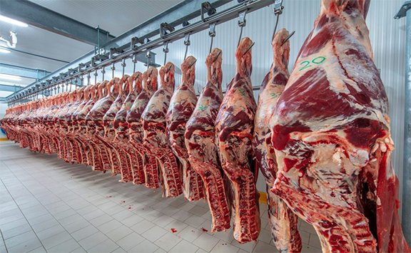Importação de carne bovina reduz pela metade nos últimos dois anos